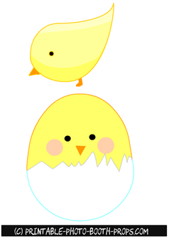 Cute Easter Chicks